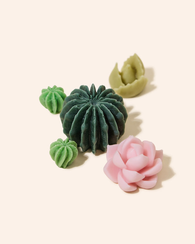 succulents