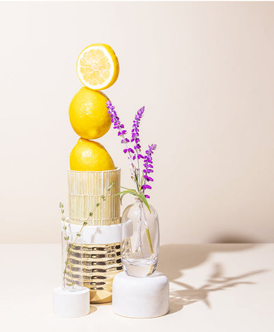 lemon verbena & thyme™ fragrance oil - the stash