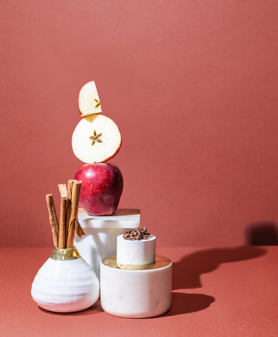 apple rind & cinnamon™ fragrance oil - the stash