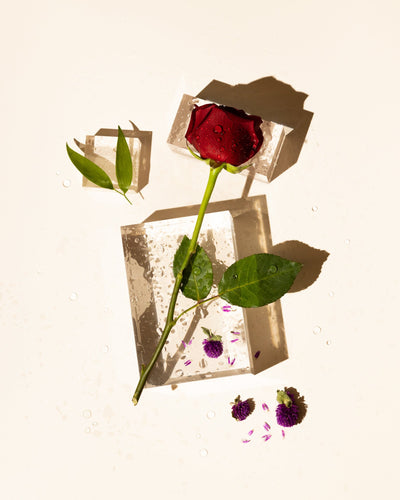 dewy rose fragrance oil accord - the stash