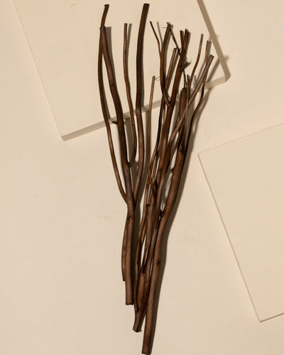 willow diffuser reeds