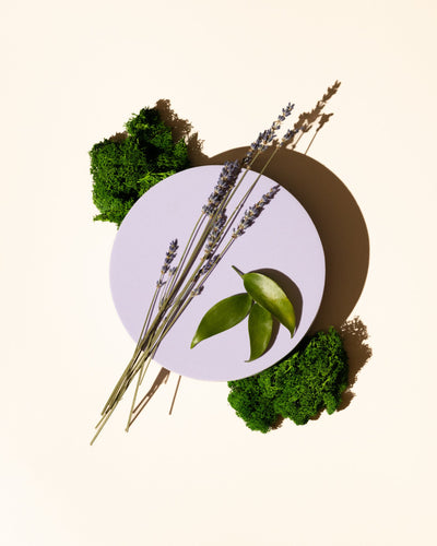 lavender moss fragrance oil accord - the stash