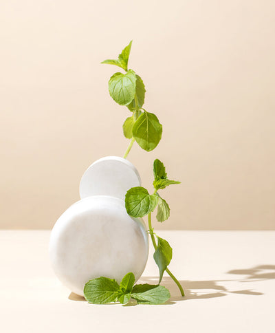 peppermint essential oil - the stash