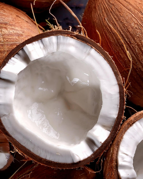 coconut fragrance oil