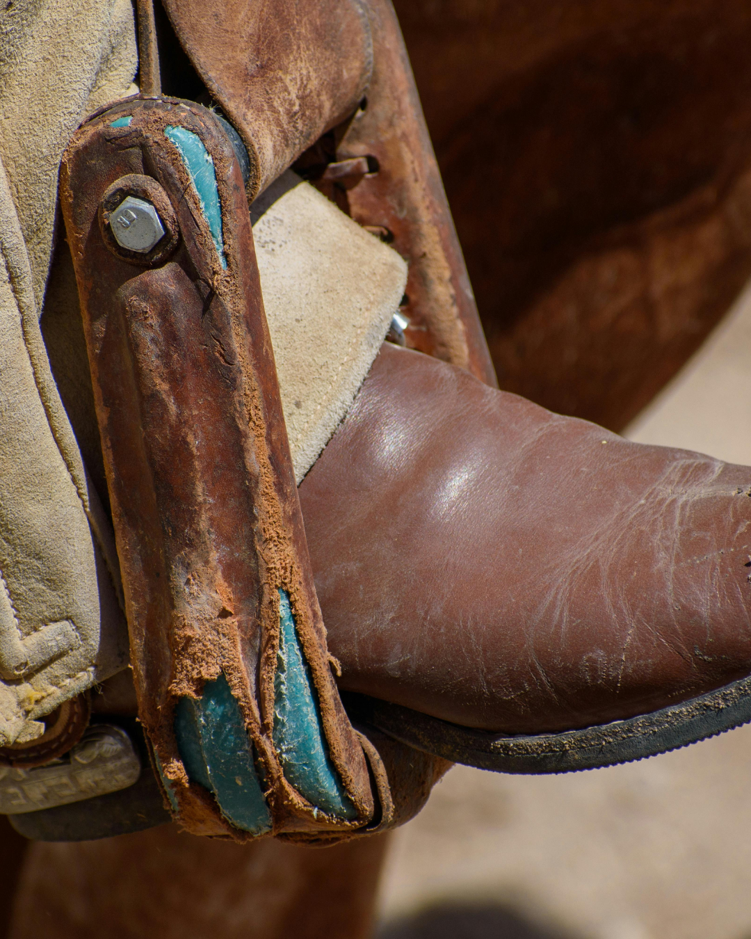 daisy dukes & cowboy boots™ fragrance oil