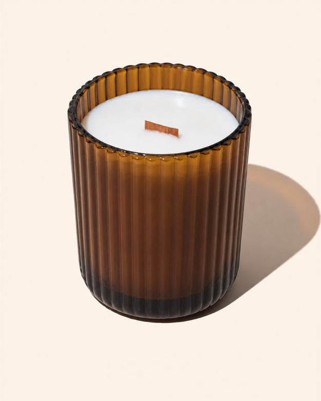 translucent amber / case pack of 12