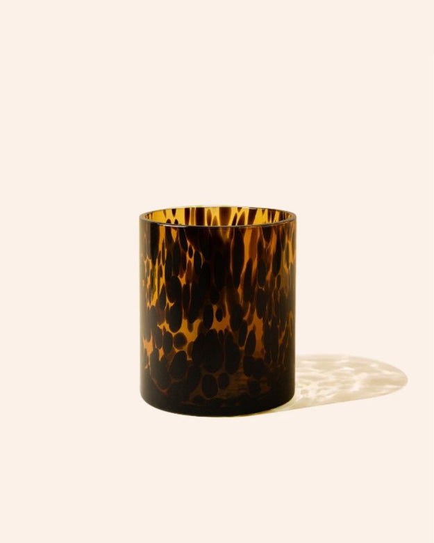 tortoise shell / case pack of 12