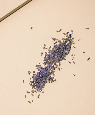 lavender buds - Makesy