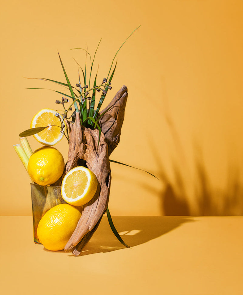 natural citronella & camphor - the stash