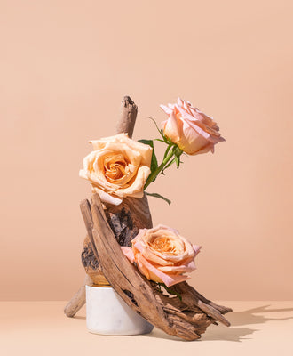 200 Grams Dried Rose Petals for Bath, Candle Making, Resin, DIY