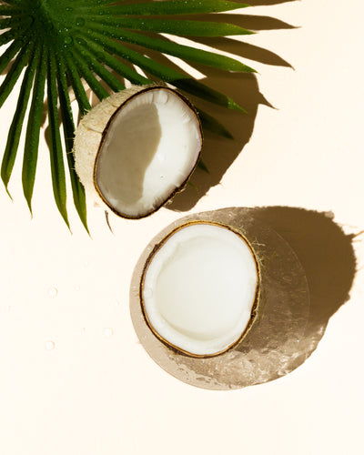 fresh coconut accord - Makesy