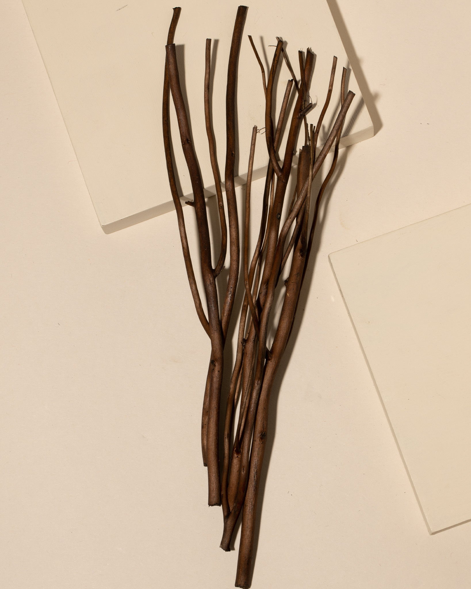 umber willow diffuser reeds - set of 50 - Makesy