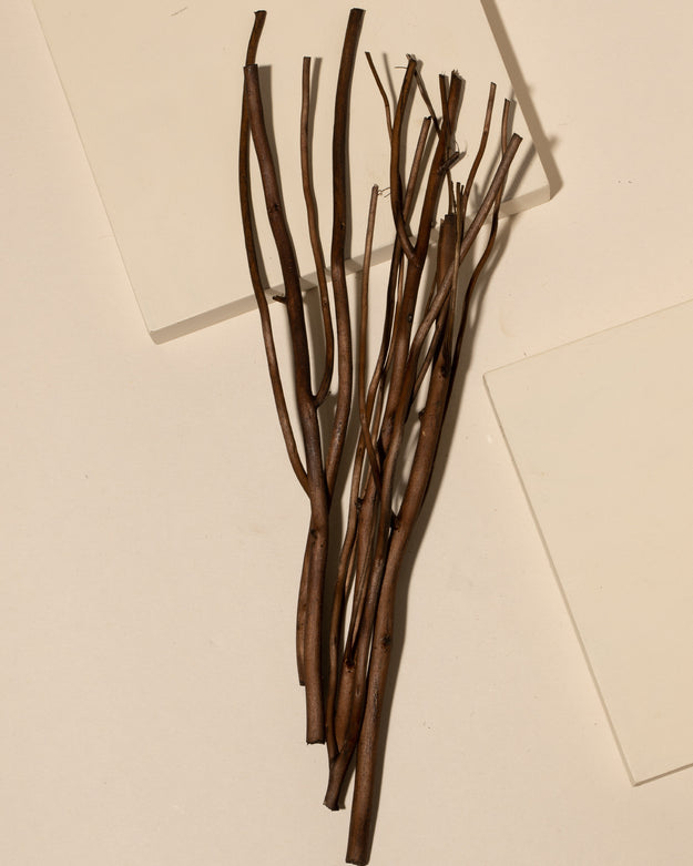 umber willow diffuser reeds - set of 50 - Makesy