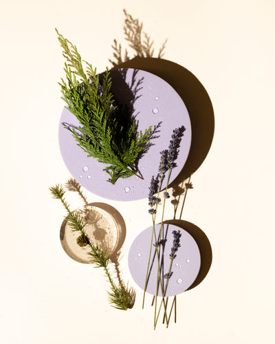lavender moss fragrance oil accord