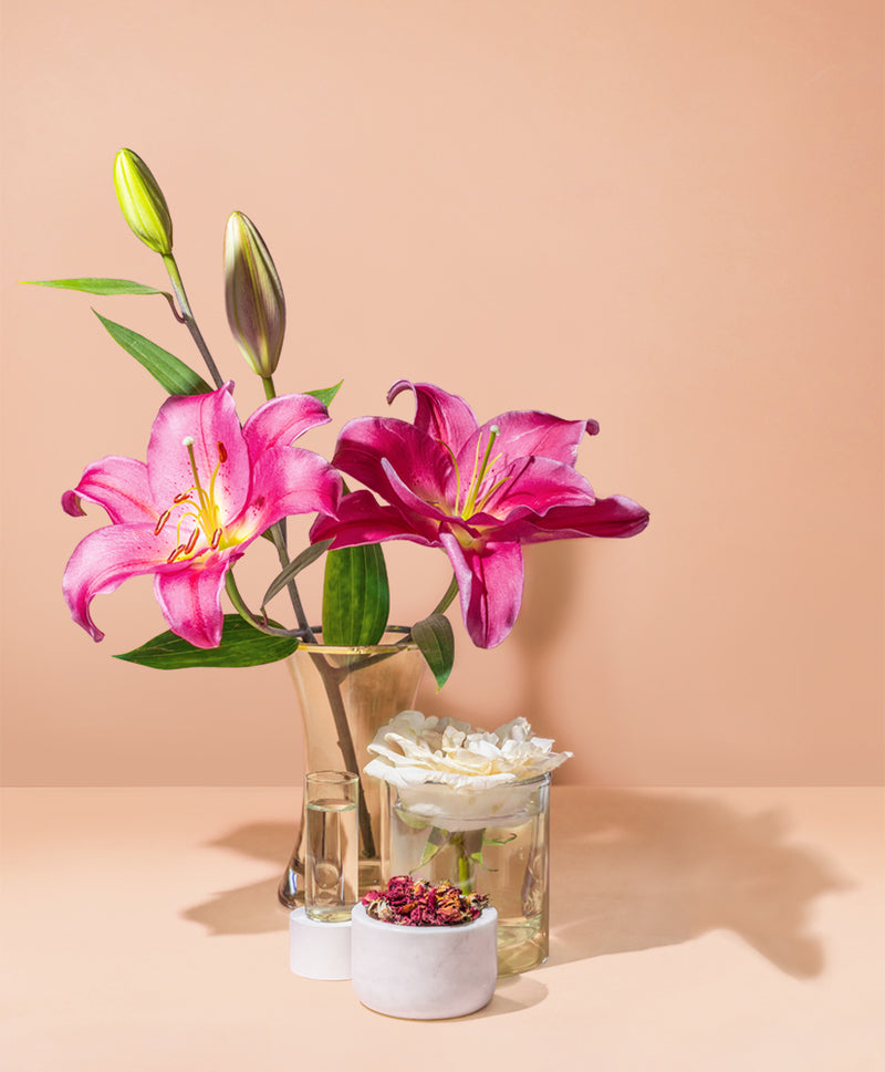 waterlily & rosehip