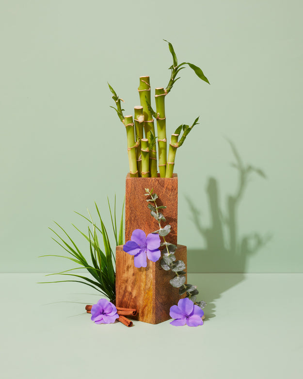 green bamboo & wild violet - Makesy